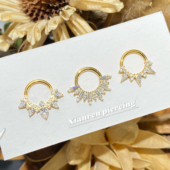 钛合金 镀金大钻耳环daith环 耳骨环集合 仙人 无缝环16G 高抛光