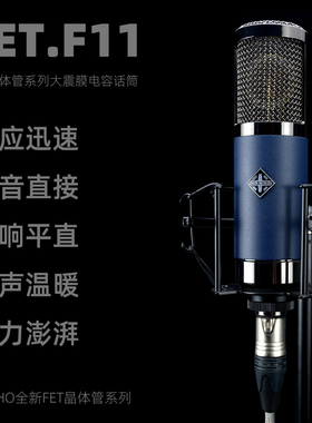 MRWHO 烟头麦克风 F11大震膜电容话筒 34MM大振膜人声麦