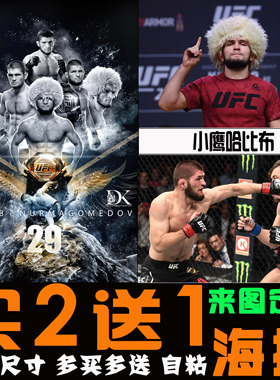 小鹰哈比布海报ufc格斗明星搏击