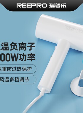 reepro瑞普乐电吹风机家用大风力