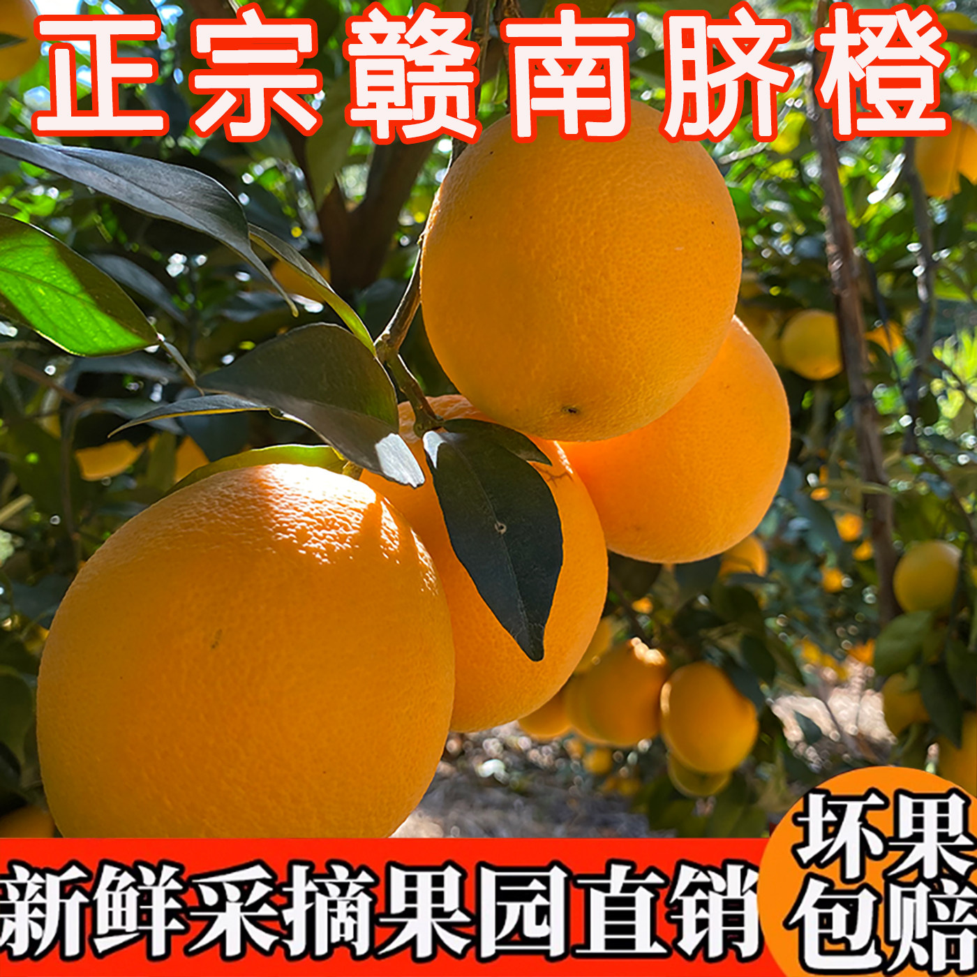 江西橙子赣南脐橙新鲜水果当季整箱5斤10斤应季时令榨汁产地直发,水产肉类/新鲜蔬果/熟食,橙,淘宝优惠券,粉丝福利购,淘宝优惠卷