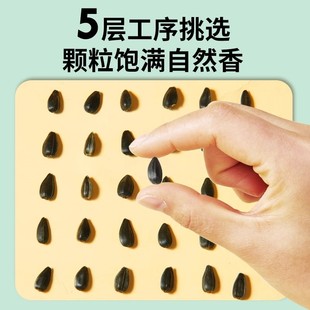 鹦鹉瓜子玄凤虎皮饲料鸟食零食训练奖励食物黑珍珠油葵小瓜子鸟粮