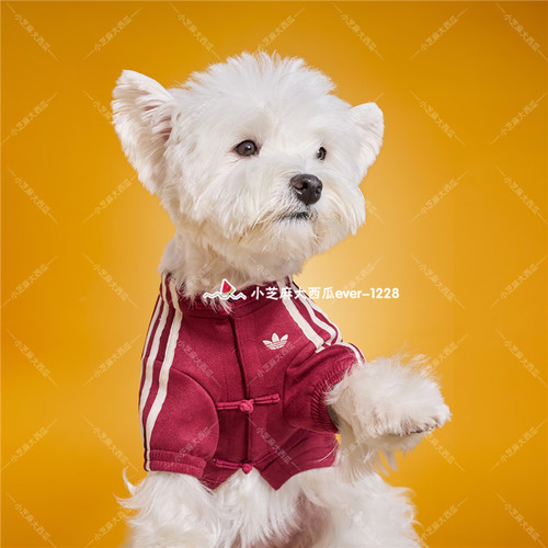 adidas三叶草狗狗猫咪保暖针织新中式宠物外套KZ4779/4781/4782
