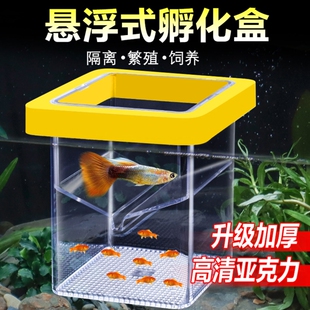 母鱼繁殖隔离盒小鱼孵化盒孔雀鱼凤尾卵生幼鱼苗缸内外亚克力产房
