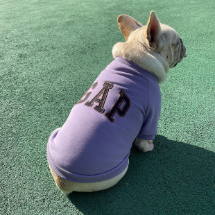 宠物狗狗秋冬加绒卫衣法斗巴哥雪纳瑞泰迪小型犬保暖潮牌加厚衣服