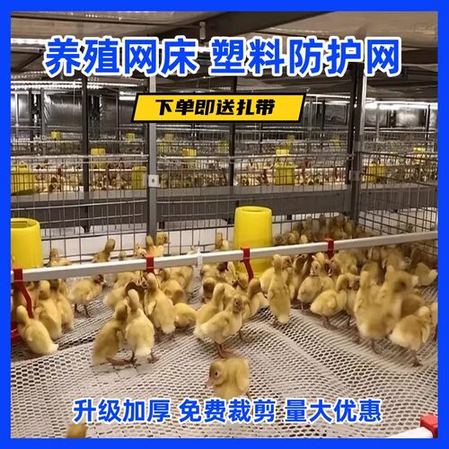 养鸭网床养殖鸭子鸡舍漏粪网格