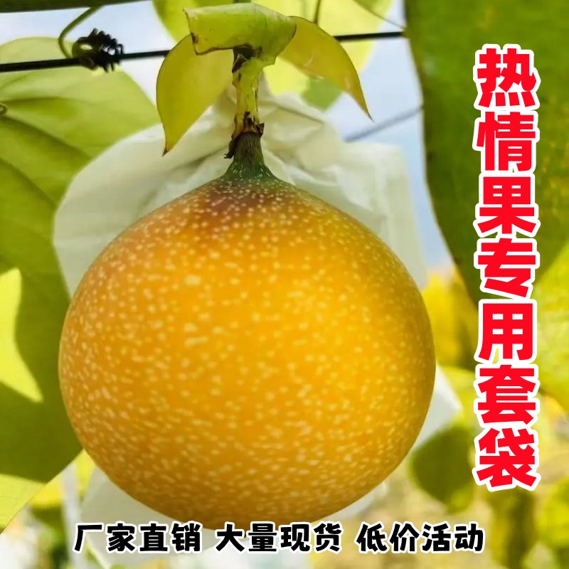 热情果套袋专用果树水果保护防虫