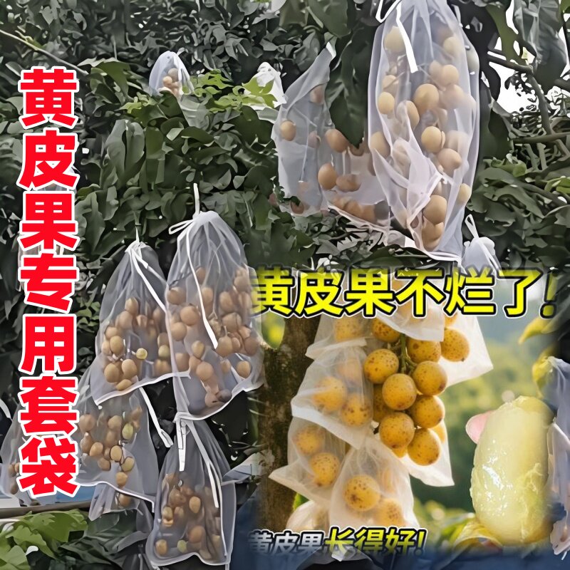 黄皮果专用套袋子龙眼防鸟防虫款