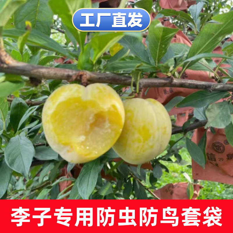 李子专用套袋黄金奈李蜂糖李防虫