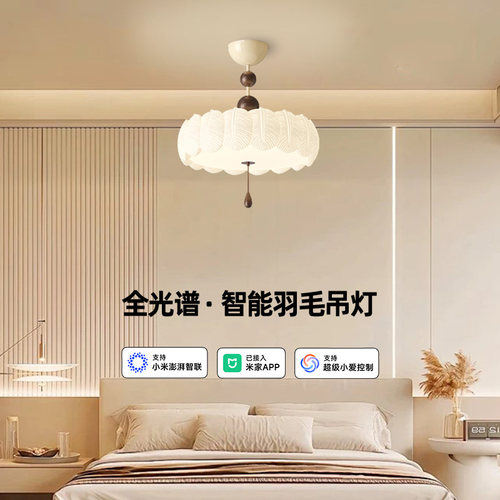 一眼万年，这个吸顶灯真的绝美