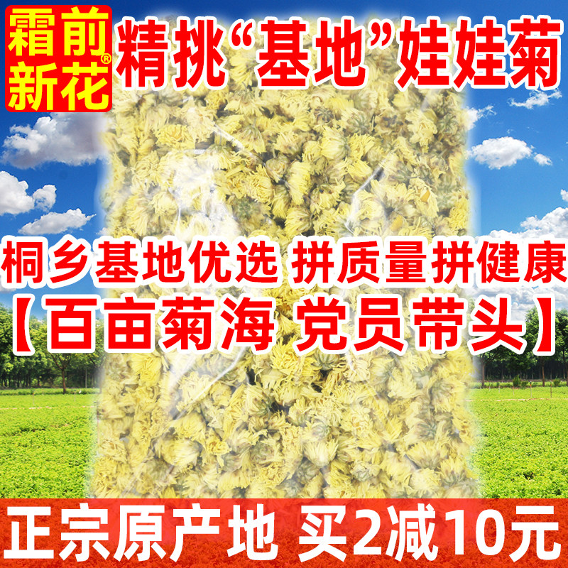 【基地娃娃菊】菊花茶正品桐乡正宗杭白菊花芽杭州菊花茶散装250g