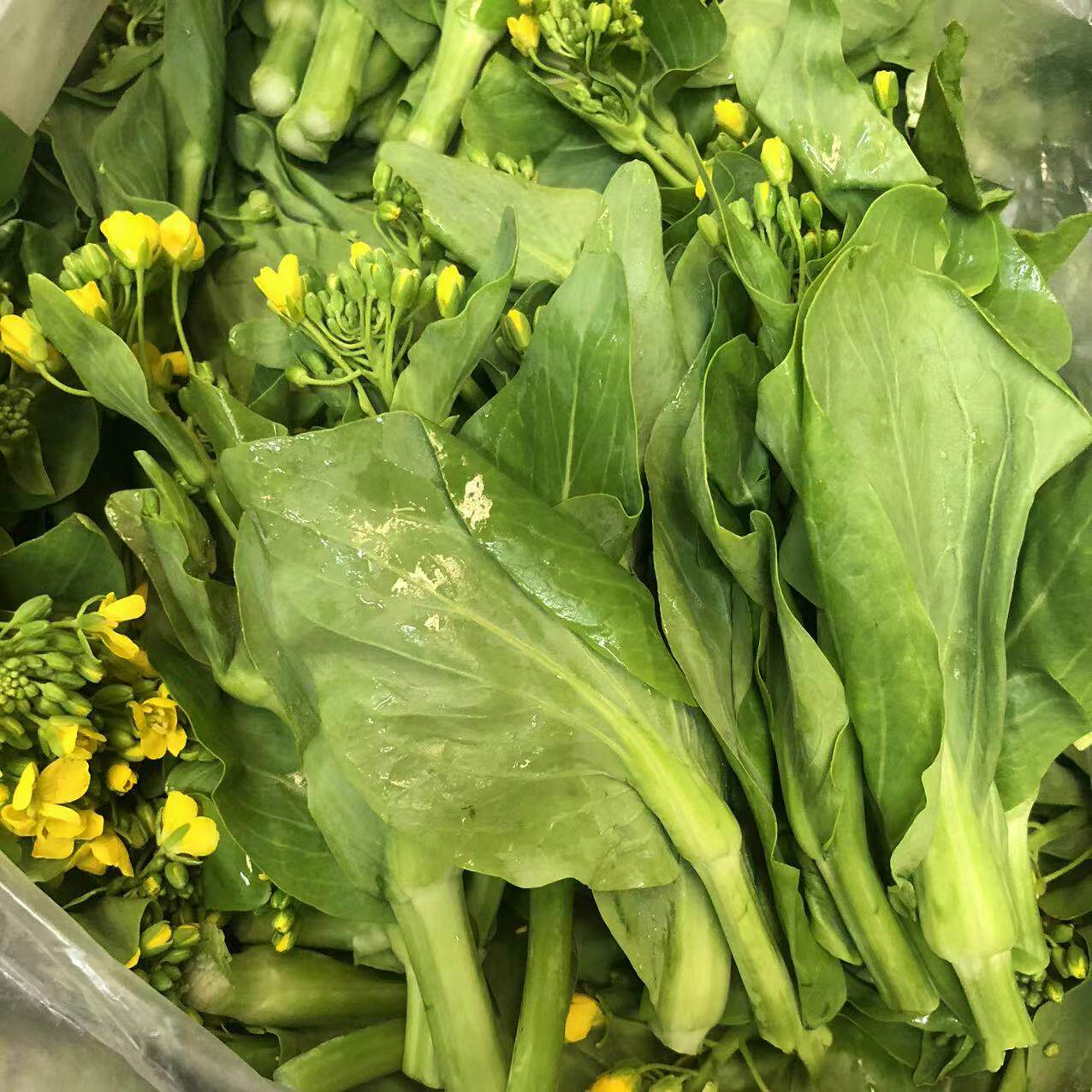 远东春生鲜 新鲜蔬菜 油菜苔 油菜花 京津冀满68包邮