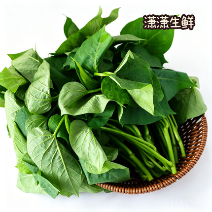 潇潇生鲜 新鲜蔬菜 地瓜叶 红薯叶  京津冀满68包邮