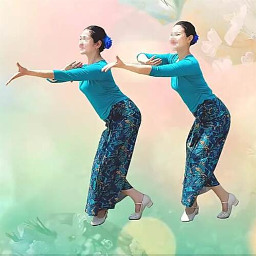 花与影新舞一朵情花开同款傣族练习裙演出服中老年广场舞夏季服装