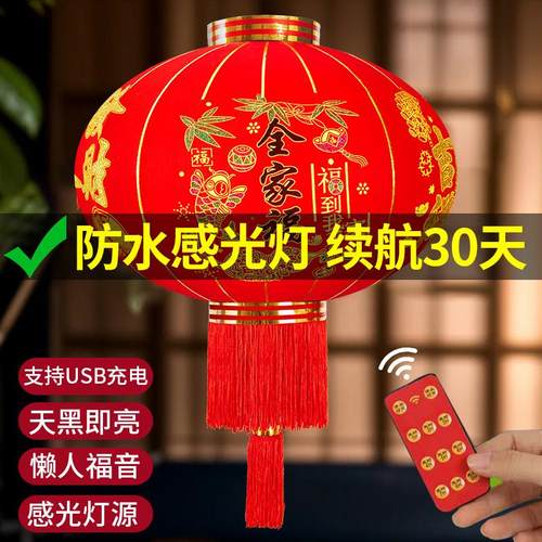 2025新款免插电大红灯笼吊灯大门口户外乔迁之喜一对阳台宫灯装饰