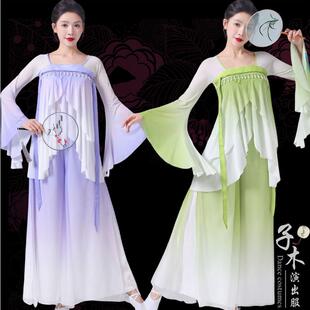 古典舞练功服全套中国舞纱衣舞蹈阔腿裤 飘逸 演出服古典舞蹈服女