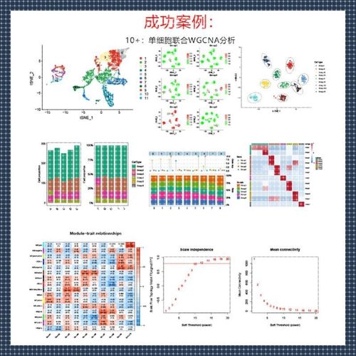 生信分析生物转录组服务2-8geo数据挖掘单细胞测序分析网络药理