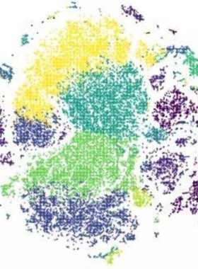 NCBI blast多序列比对服务