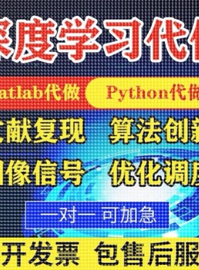 matlab代编程序代做帮做python代码复现算法仿真编写深度机器学习