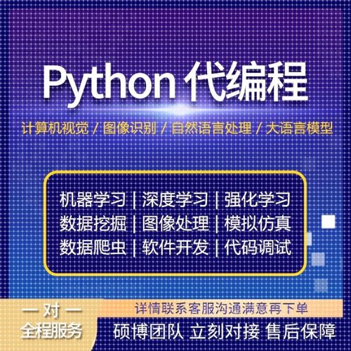 python代编程深度学习机器学习代码接单指导编程跑通调试爬虫抓取