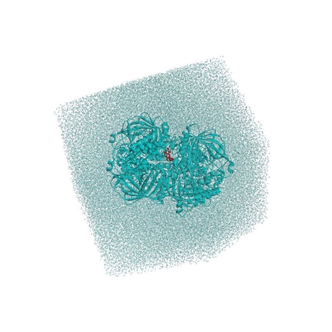分子动力学模拟/分子对接/GROMACS/代做/蛋白质体系/回头客过千