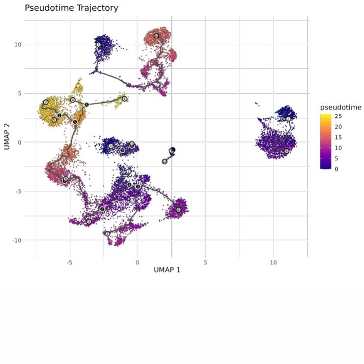 火山气泡GSEA生信定制科研文章制图单细胞测序GEO数据库CNS级图表