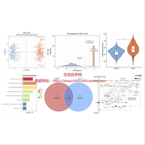 生信做图转录组学,蛋白质组学,代谢组学测序数据分析,RNA-seq