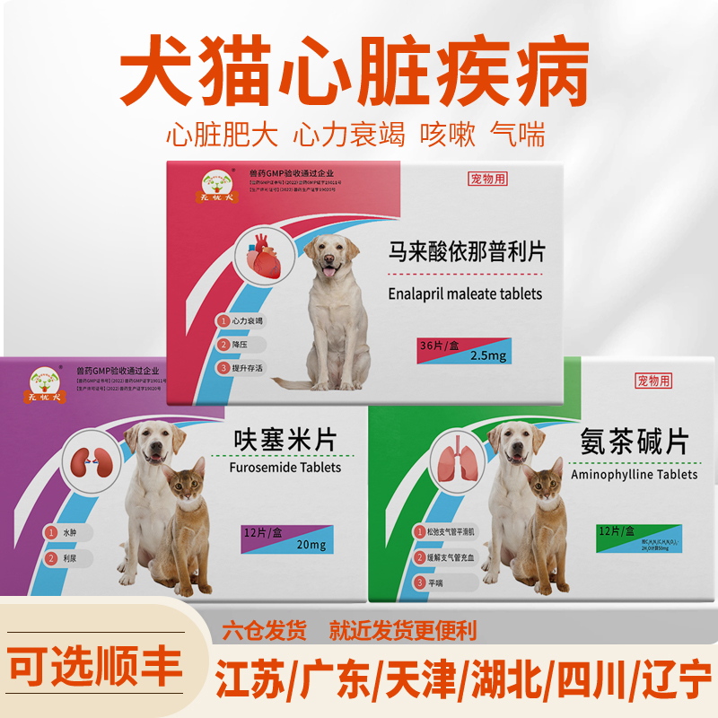 马来酸依那普利肺心病肥厚狗