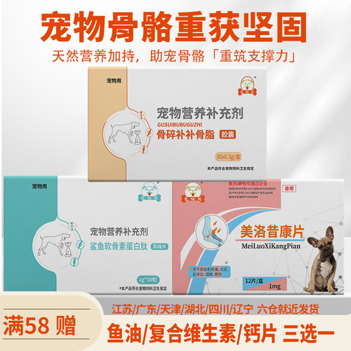 无忧犬骨骼套餐犬猫骨伤骨折