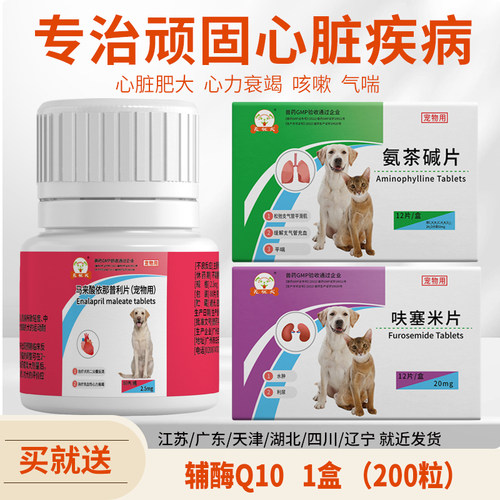 马来酸依那普利肺心病肥厚犬猫用