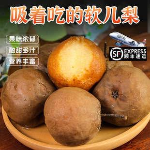 软儿梨兰州皋兰软儿梨冬果梨冻梨香水梨软梨黑梨化心果子甘肃特产