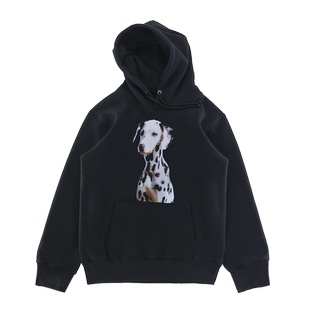 CasseSango斑点狗狗印花戴帽重磅加绒秋冬小个子卫衣厚款