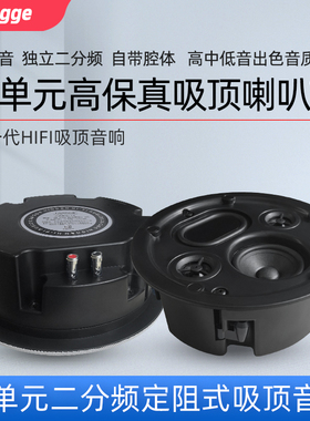 浪歌T9四单元二分频吸顶音响高中低音定阻式天花喇叭嵌入HIFI音箱