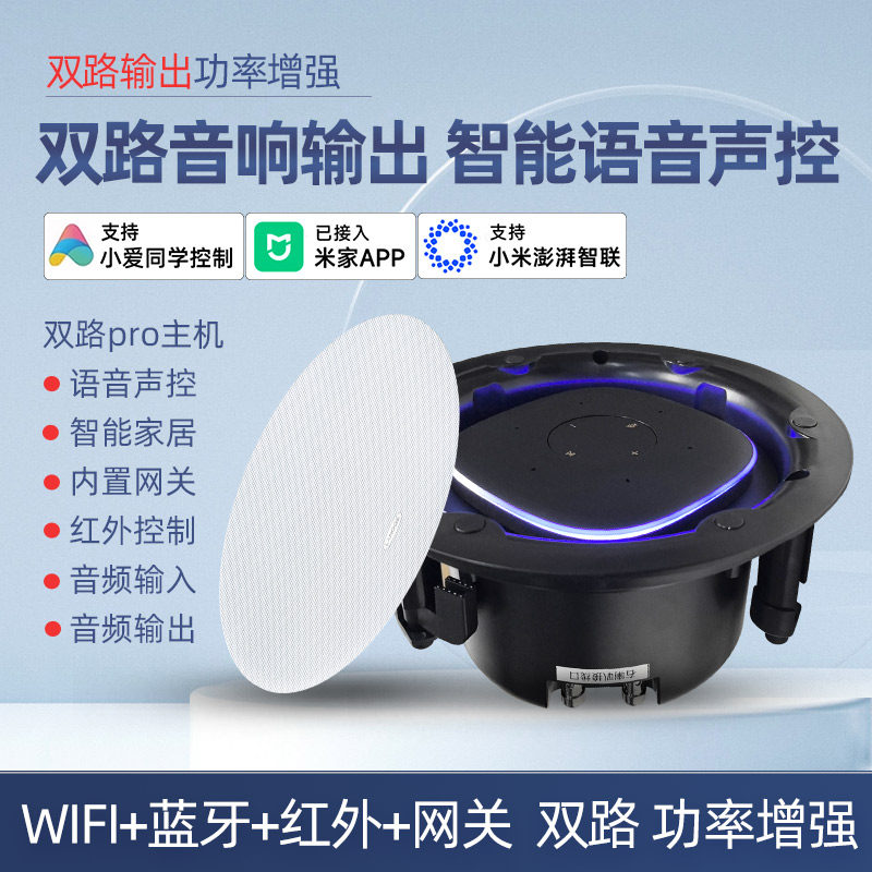 双路PRO主机智能语音吸顶音响wifi蓝牙音箱支持小爱同学控制家居