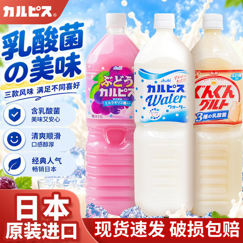 日本可尔必思乳酸菌饮品大瓶饮料