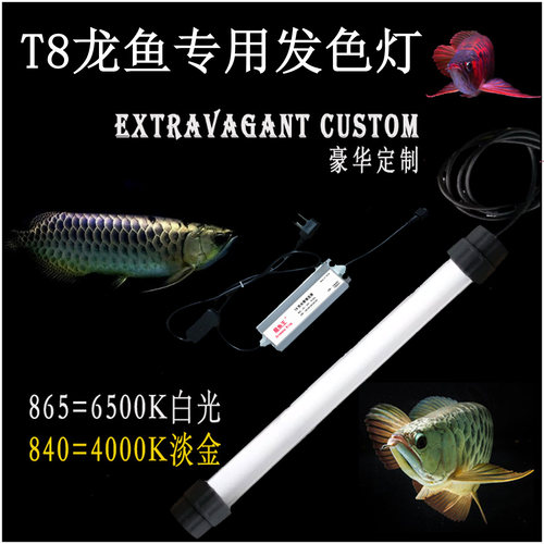 发色灯T8龙鱼烤色灯龙鱼王潜水灯