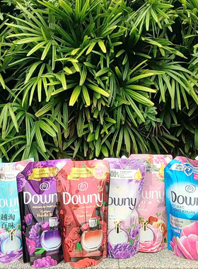 越南进口downy 当妮柔顺剂浓缩衣服护理剂香味持久香软衣剂1.45L