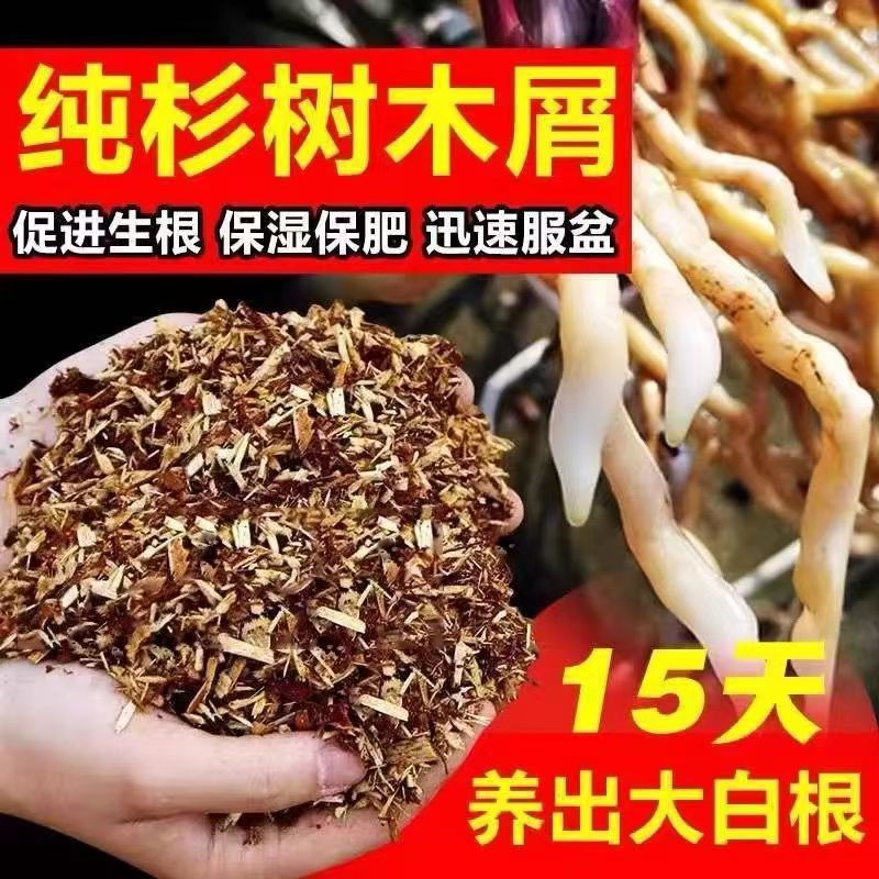 纯杉木屑兰科兰花专用杉木屑植料家用兰花营养土透气生根栽培基质
