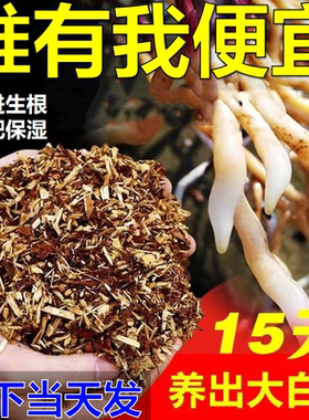 【纯杉木屑】兰花专用土杉木木屑植料蝴蝶兰天然材料类兰草花专用