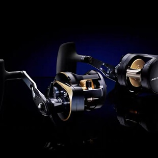 25款DAIWA达亿瓦SALTIGA300船钓轮近海铁板轮青物铁板鼓轮鱼线轮