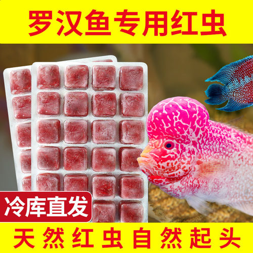 冰冻红虫罗汉鱼通用饲料