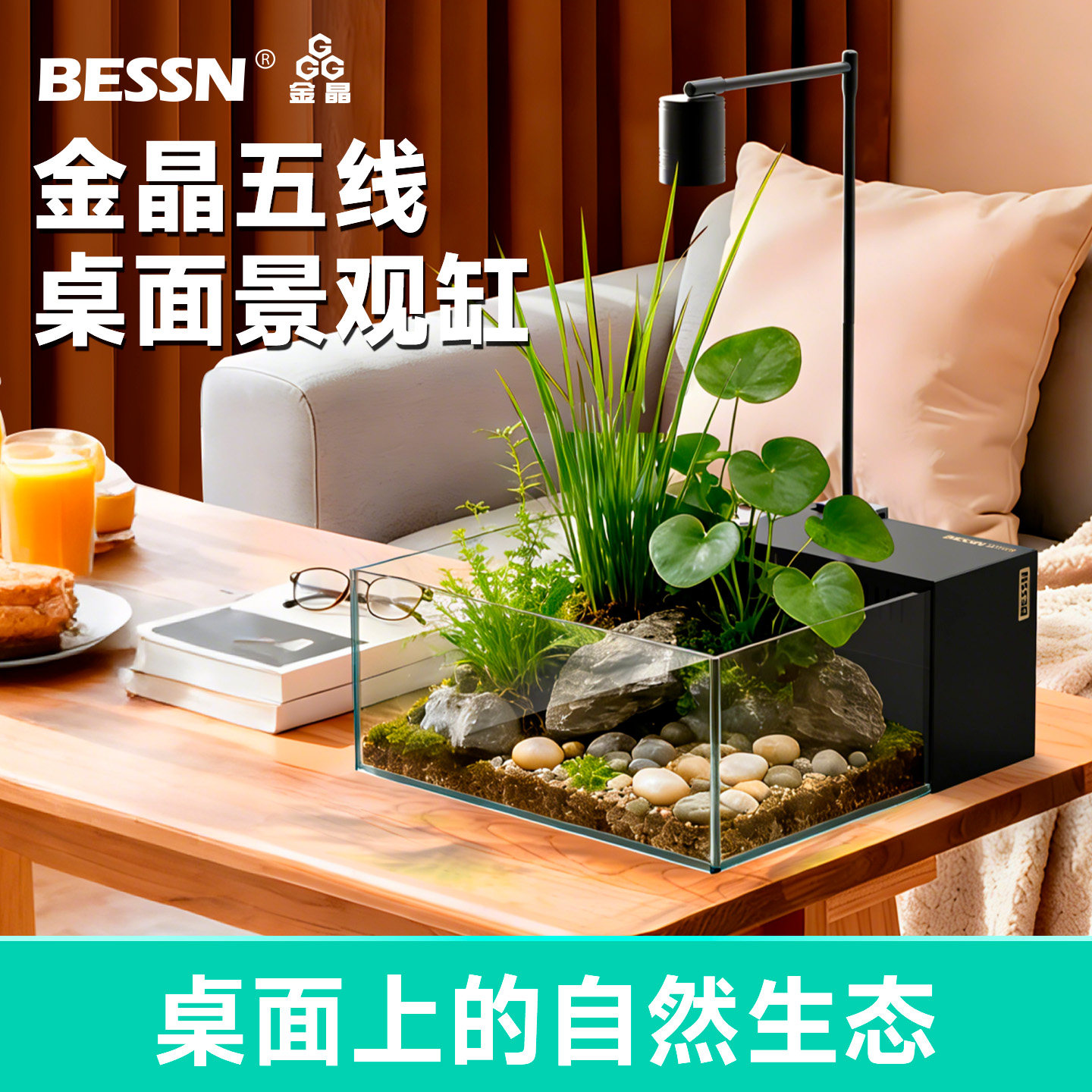 BESSN桌面造景小方缸金晶五线超白玻璃生态过滤新款小型客厅鱼缸,宠物/宠物食品及用品,桌面缸,淘宝优惠券,粉丝福利购,淘宝优惠卷