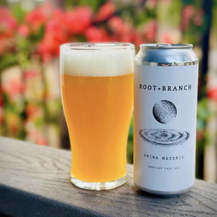 美国本末 尽情享⽤9 ⽣活与命运42 IPA精酿啤酒 26年2月新到