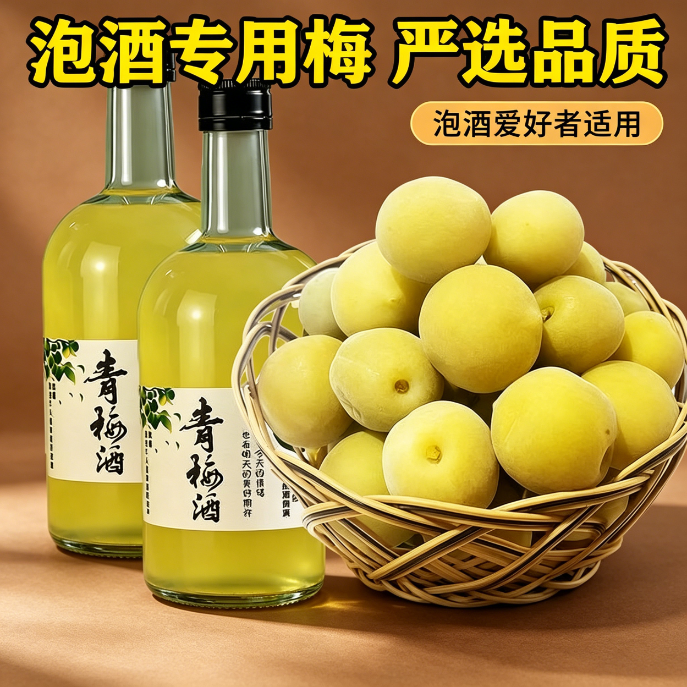 青梅泡酒专用现摘新鲜果腌制半成品网红款家庭果酒酸甜轻加工蜜饯解馋小零食解腻梅子酒果脯简单精选开胃果干休闲方便冰糖泡制省事