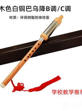 正品巴乌吹bfg学c调单管七孔版专业演奏小学竖生初入门正品降巴乌
