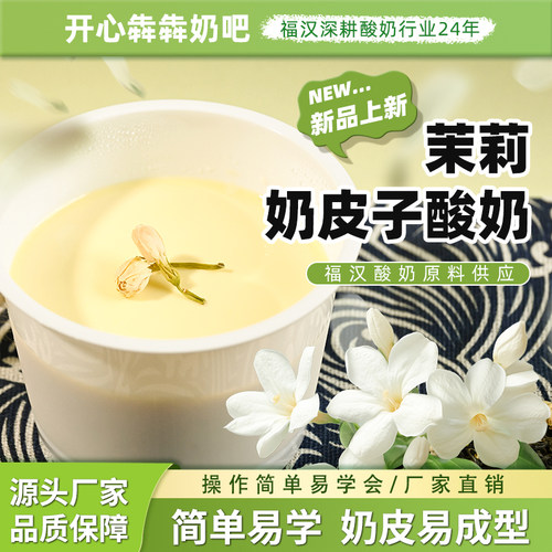 果味奶皮子粉烘焙餐酸奶原料