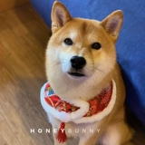 Флисовый удерживающий тепло шарф, красный чокер