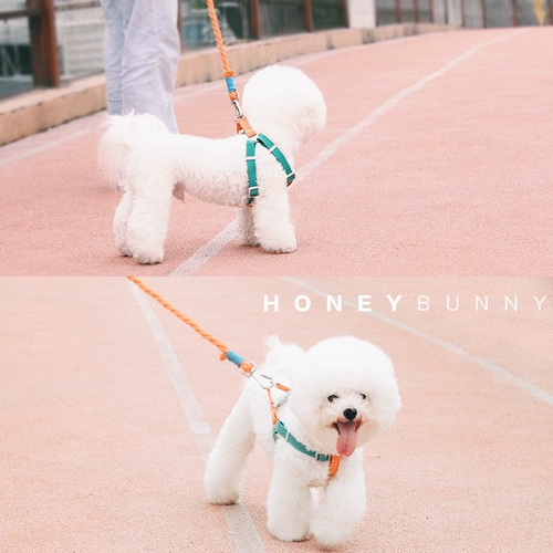 Ставитель для собак и спины