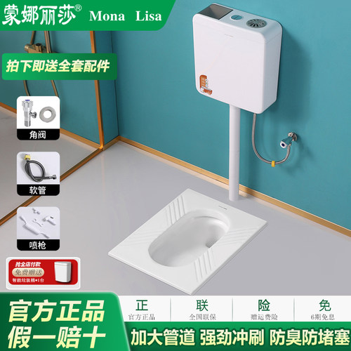 蒙娜丽莎蹲便器带水箱套装虹吸式