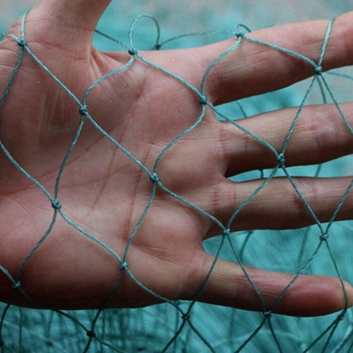 包邮养殖网 养鸡网 防鸟网 渔网围拦网 球场网爬藤网拦河网大棚网|ruв категории доставка цветов/цветок моделирования/растения садоводства, садовых принадлежностей, других садовых принадлежностей - от Buy2taobao.com для оказания профессиональной услуги покупки агента Taobao